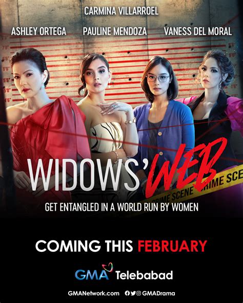 operation widow's web|widows web series wiki.